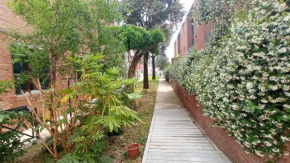 Immersa nel verde